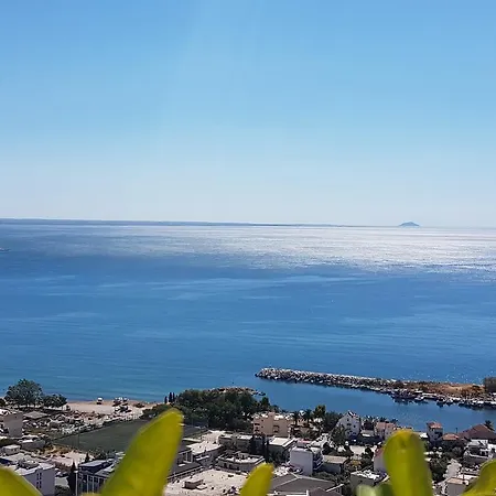 Alexandros Διαμέρισμα